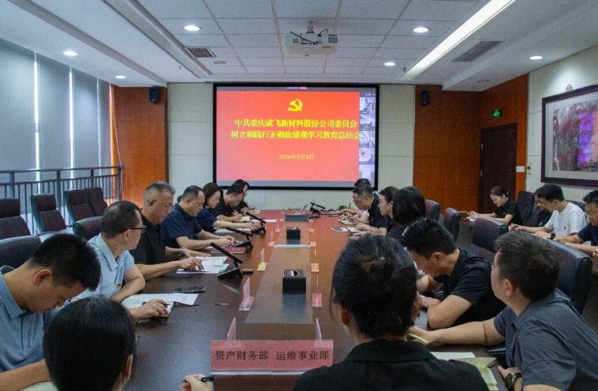 成飞新材党委召开树立和践行正确政绩观学习教育总结会议