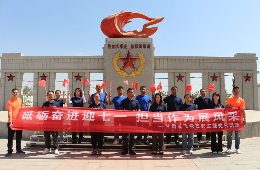 同心向党丨成飞新材各党支部开展迎“七一”系列主题活动